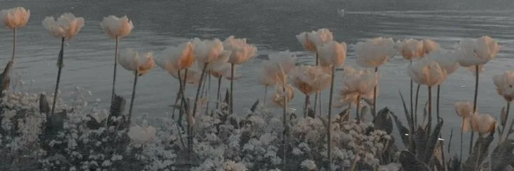 OnlyFans cuenta majitol header 1