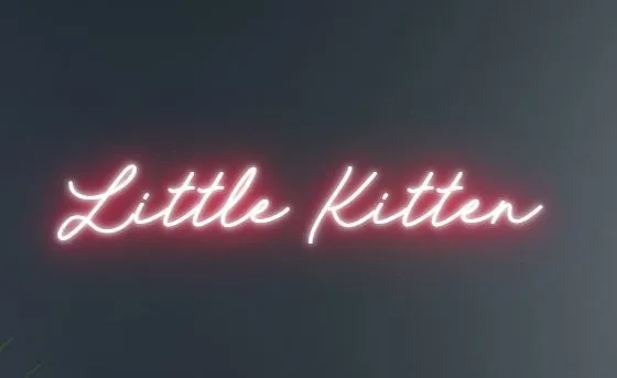 OnlyFans cuenta littlekittenausfree header 2