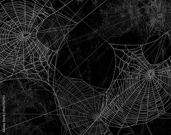 OnlyFans cuenta spidertits header 2