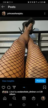 OnlyFans cuenta elliebelles avatar 1