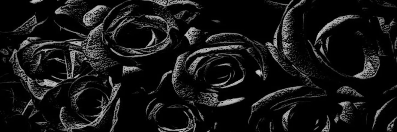 OnlyFans cuenta blackestrosead header 2