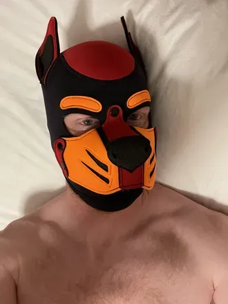 OnlyFans of acciopup