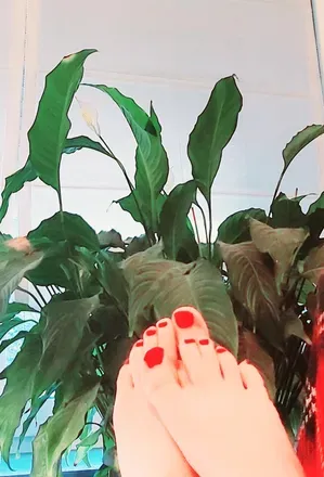 OnlyFans cuenta wow.much.wow.feet avatar 1