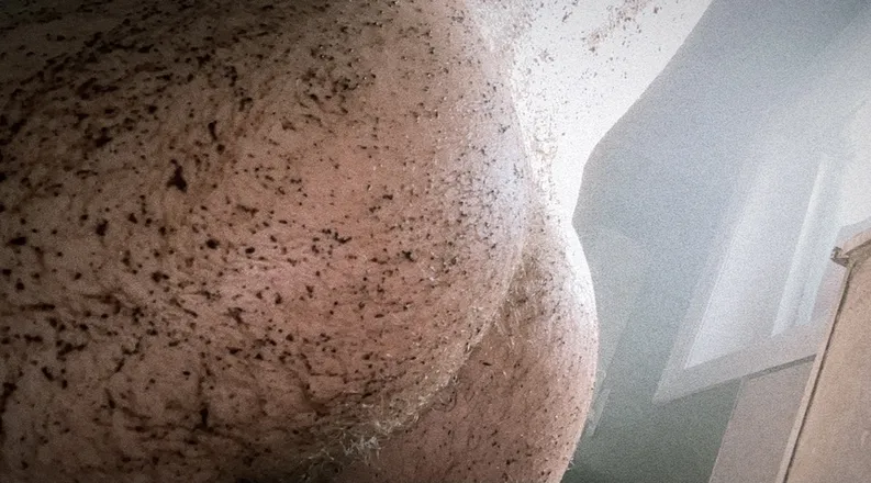 OnlyFans cuenta eliotrosee header 2