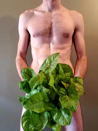 OnlyFans account  ogbigtree avatar 1