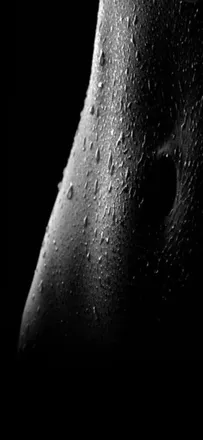 OnlyFans cuenta crrntlycourt header 2