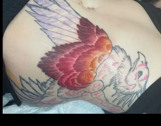 OnlyFans cuenta tattedpheonix header 2