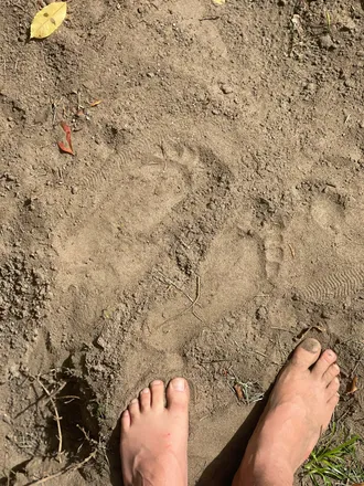 OnlyFans cuenta timtumblerfeet header 2