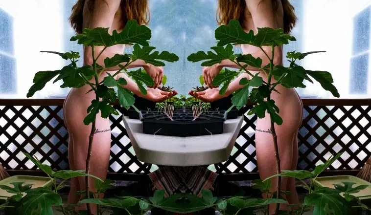 OnlyFans cuenta botanical_bxbe header 2
