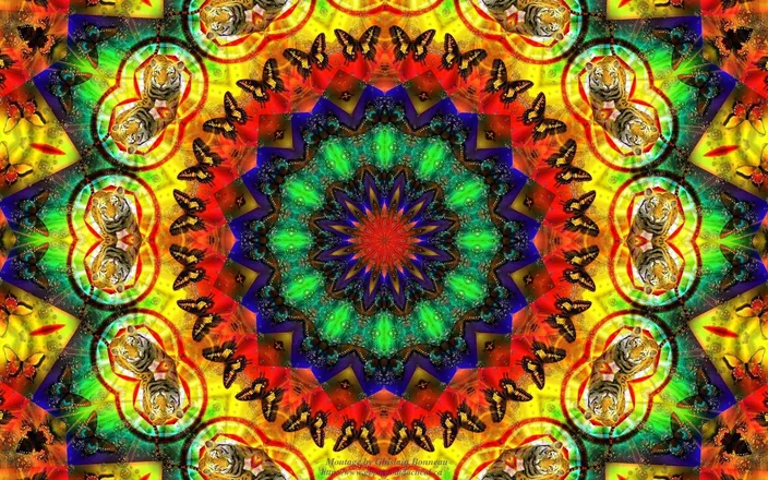 OnlyFans cuenta hippiebaby_720 header 2