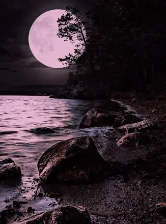 OnlyFans cuenta moonlightbaaby header 2