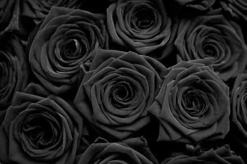 OnlyFans cuenta nymphettesoul header 2