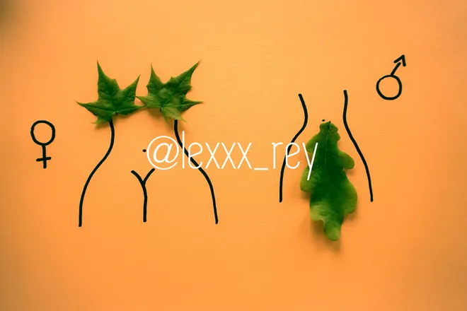 OnlyFans cuenta lexxx_rey header 2