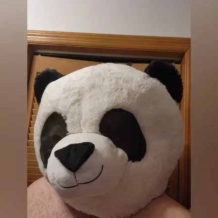 OnlyFans cuenta only-pandas avatar 1