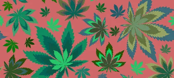 OnlyFans cuenta strawberrybudbunny header 2