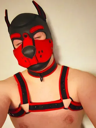 OnlyFans cuenta pup_styx avatar 1