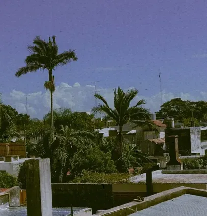 2026-04-07 photo 2