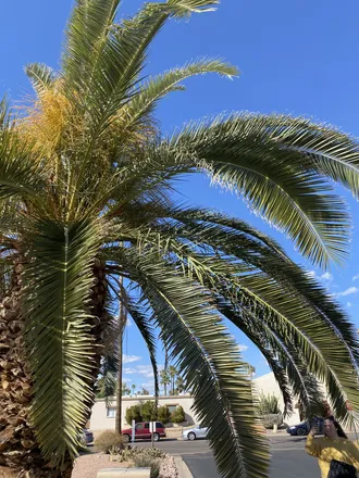 OnlyFans cuenta abbypalms header 2