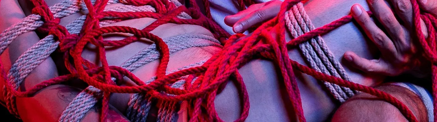 OnlyFans account  toolboi header 2