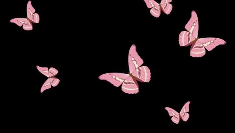 OnlyFans cuenta jaded.janae header 2