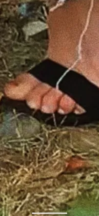 OnlyFans cuenta eotfeet21 header 2