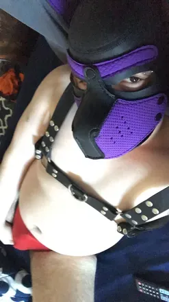 OnlyFans account  bugsythepup avatar 1