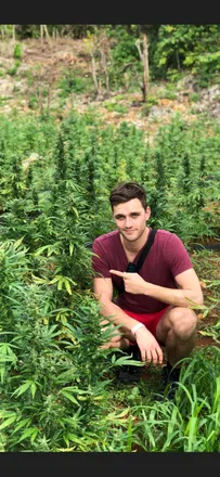 OnlyFans cuenta fruitfarm420 header 2