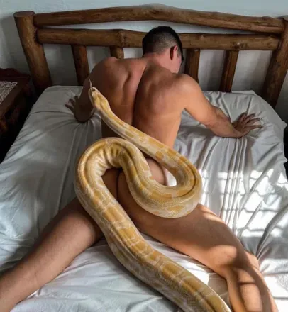 OnlyFans cuenta nicolashauser09 avatar 1