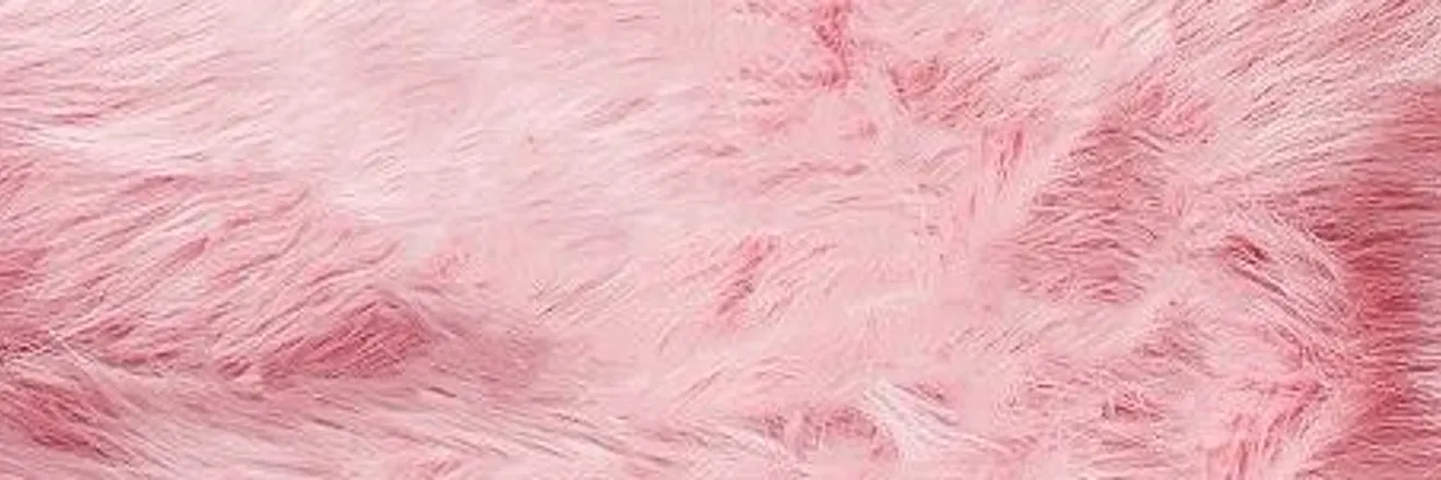 OnlyFans cuenta sophieloverchjk header 2