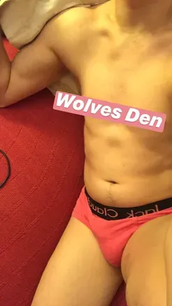 OnlyFans cuenta wolvy6245 avatar 1