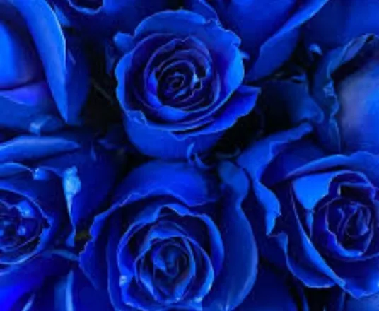 OnlyFans cuenta princessfuego22 header 2