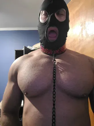 OnlyFans cuenta musclemouthtrainee avatar 1