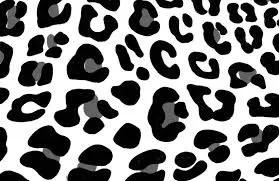 OnlyFans cuenta spic.ycream header 1