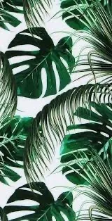 OnlyFans cuenta wisper.to.bethany header 2