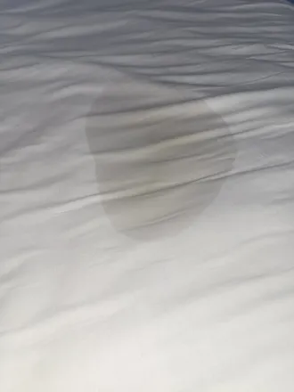OnlyFans cuenta blueyedgaal header 2
