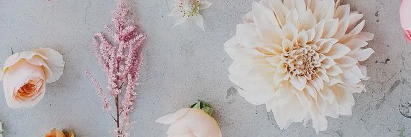 OnlyFans cuenta honeysugarhon header 2