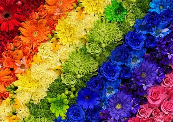 OnlyFans cuenta saucydoll header 2