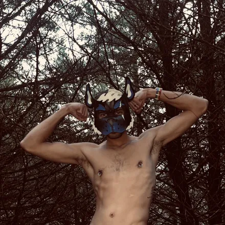OnlyFans account  rogerthemutt header 2