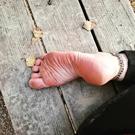 OnlyFans cuenta walking.in.the.forest avatar 1
