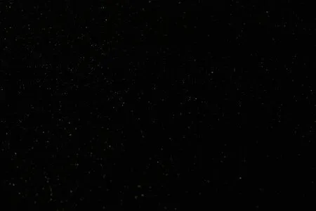 OnlyFans cuenta u125004423 header 2