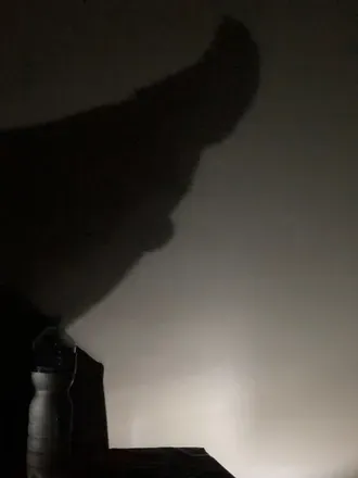 OnlyFans cuenta sexyintheshadow avatar 1