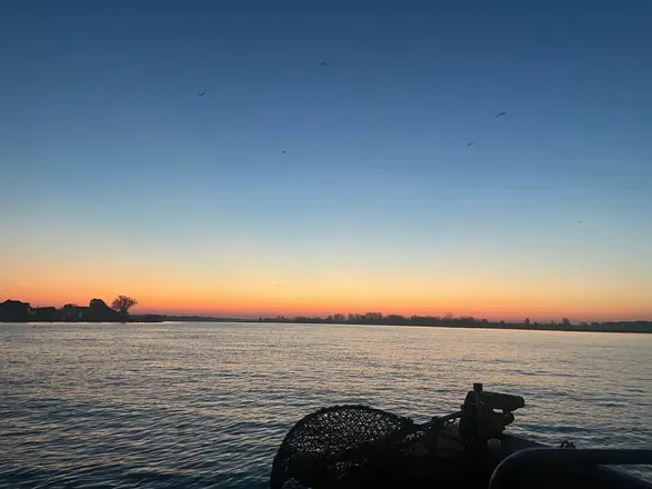 OnlyFans cuenta rivergoddessariel header 2