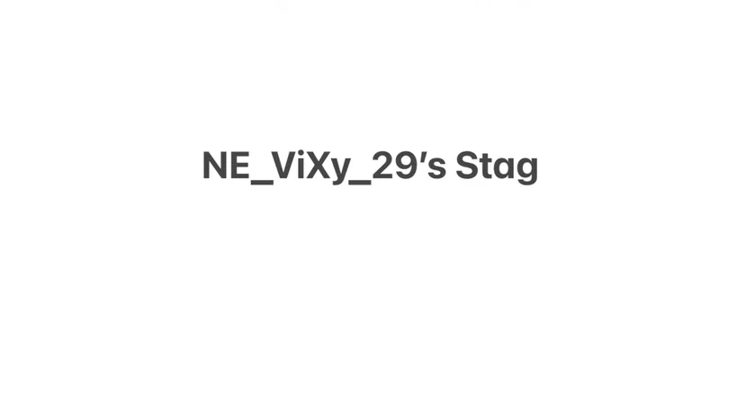 OnlyFans account  ne_vixys_29_stag header 2