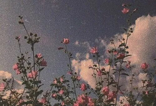 OnlyFans cuenta mmmsmokes header 2
