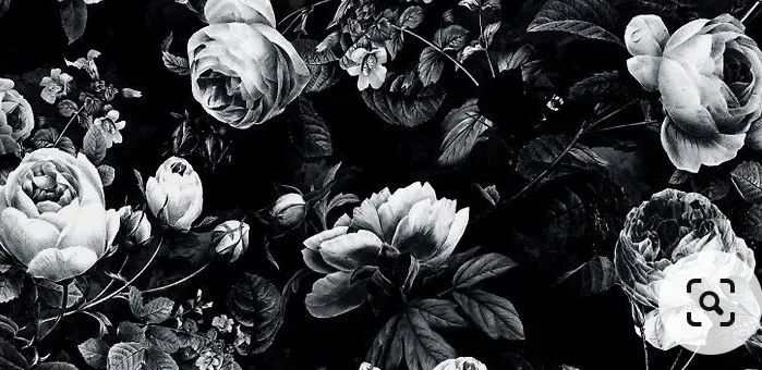 OnlyFans account  rxsie header 2