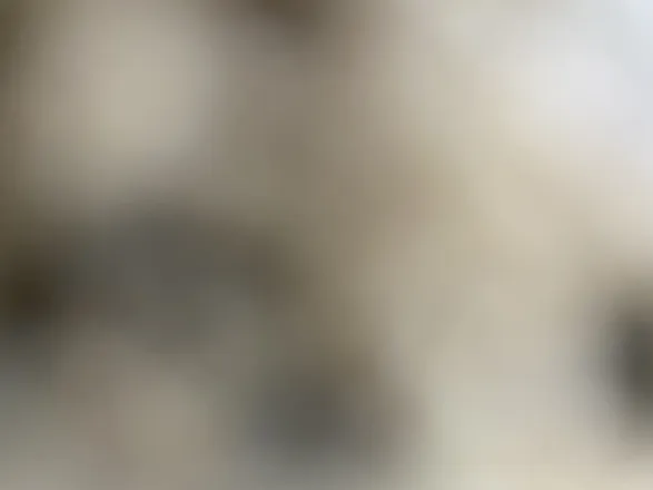 OnlyFans cuenta forpolishedgem header 2