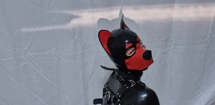 OnlyFans cuenta goodboymaxi header 2