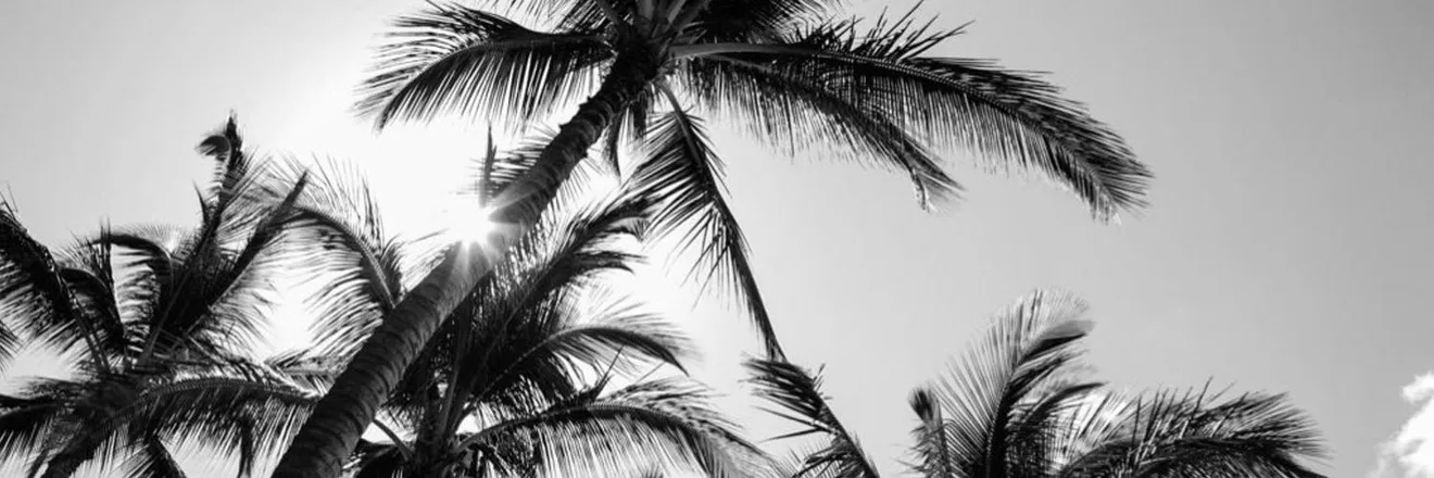 OnlyFans cuenta emmaiinhell header 2