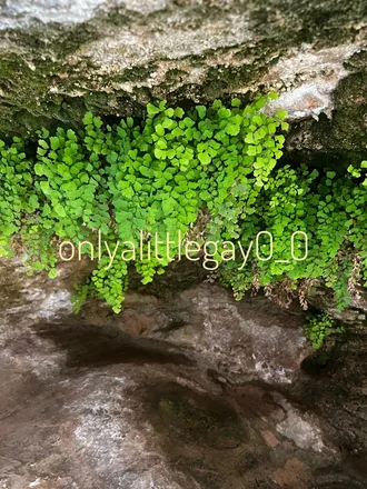 OnlyFans cuenta onlyalittlegay0_0 header 2