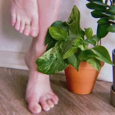 OnlyFans cuenta ravenperfecttoes avatar 1